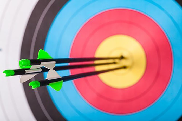 Picture of arrows in target